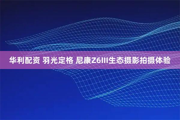 华利配资 羽光定格 尼康Z6III生态摄影拍摄体验