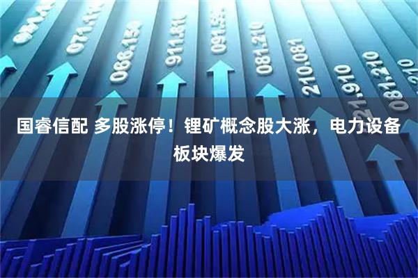国睿信配 多股涨停！锂矿概念股大涨，电力设备板块爆发